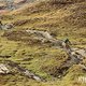 13 Hochalpine Trail erfordern immer etwas mehr Aufmerksamkeit