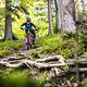 Die Abfahrt vom Hauchenberg wird dann doch noch angenehm steil, bleibt aber durchgehend gut fahrbar.