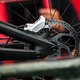 Specialized-Iles-Bruni-Williams-3810