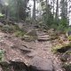 SDC19989 kl