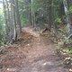 Access Trail Papa Woods