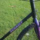 purple bike-ssp 11