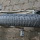 IMG 5828