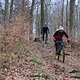 IMG 5242