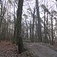 IMG 1456