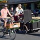 Critical Mass 1706 4820a