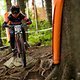 Nadja Pries - EDC Semmering 2022