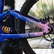 Specialized hatte immer gute Lackierungen