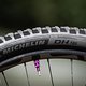Am Heck setzt David Trummer auf den meisten Strecken auf den noch nicht käuflichen neuen Michelin DH16-Reifen.