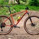 Ritchey-P29er-2024-Hero-16