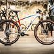 Das Bike gibt es entweder in Teamlackierung … 