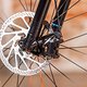 Scar Cycles-20
