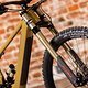 Crossworx-3