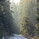 Mountainbike-Fahrt am Morgen