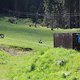 IMG 9772