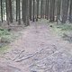 IMG 0924