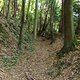 DSCF3681 1286822325