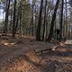 IMG 1797