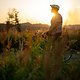 Sunset45 (MTB-News)