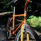 1996 WTB Phoenix SE - Moltein Orange-JoeBell-Cockpit-2