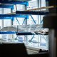 Newmen Hausbesuch 2024-106