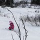 IMG 20241222 154703