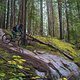 BC Squamish - Value Added