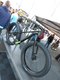 IMG 0118