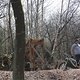 IMG 6904