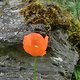 130509 Nette Schieferpfad5