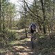 IMG 3443