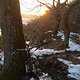 Abendstimmung am Hanslberg 1