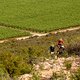 Hans Becking and José Dias of Buff Scott MTB break away on a climb during stage 4 of the 2021 Absa Cape Epic Mountain Bike stage race from Saronsberg in Tulbagh to CPUT in Wellington, South Africa on the 21th October 2021

Photo by Nick Muzik/Cape Ep