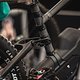 Gefertigt ist das neue Downhill-Bike von Specialized aus Carbon