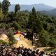 Venue at Red Bull Hardline  in Maydena Bike Park,  Australia on February 24,  2024 // Graeme Murray / Red Bull Content Pool // SI202402240018 // Usage for editorial use only //