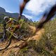 during Stage 3 of the 2024 Absa Cape Epic Mountain Bike stage race from Saronsberg Wine Estate to CPUT, Wellington, South Africa on 20 March 2024. Photo by Dominic Barnardt / Cape Epic
PLEASE ENSURE THE APPROPRIATE CREDIT IS GIVEN TO THE PHOTOGRAPHER