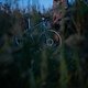 Sunset54 (MTB-News)