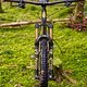 PineCo_06