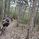 IMG 7920