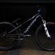 Specialized P.3 Bearclaw Edition 2013