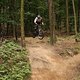 IMG 0125