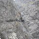 IMG 20150707 134032