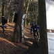 IMG 1861