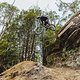 Remy Morton partcipates at Red Bull Hardline in Maydena Bike Park, Australia on February 20th, 2024. // Dan Griffiths / Red Bull Content Pool // SI202402210619 // Usage for editorial use only //