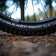 Schwalbe Albert-1686