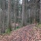 Winterpokal-Aktivität