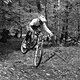 IMG 7259