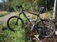 Trek