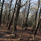 IMG 1832