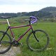 Biketech Toyo 91 (ex)
